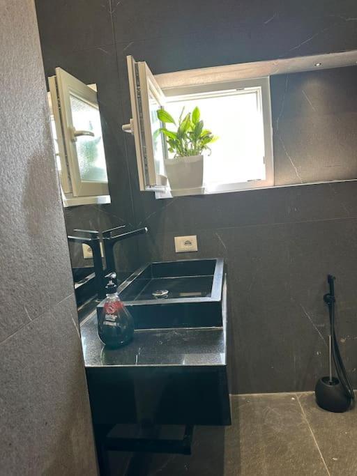 Green Apartment ティラナ エクステリア 写真